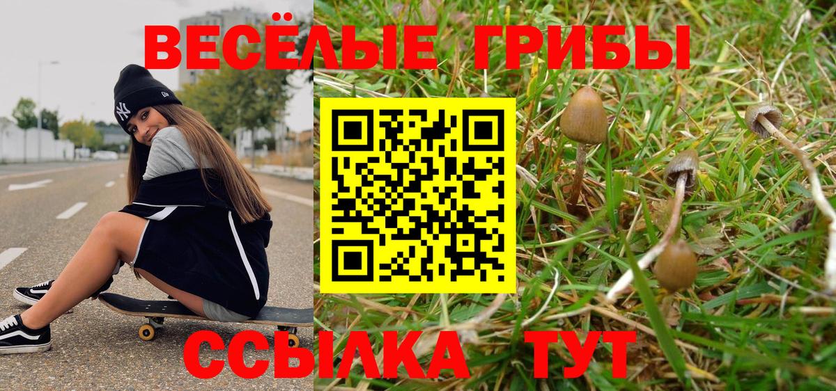 Галлюциногенные грибы прущие грибы  Вход с VPN  Галлюциногенные грибы GOLDEN TEACHER  Абакан 